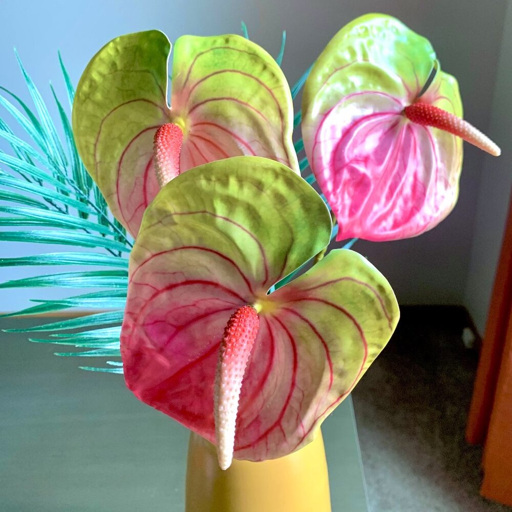 Gorgeous 3 Stems 22.5" Artificial Faux Multicolor Variegated Anthurium Flowers